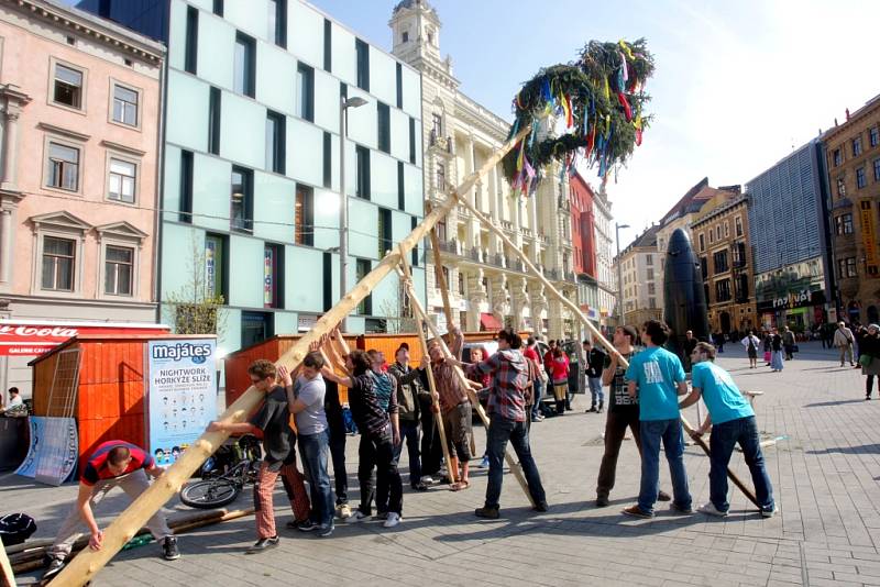 Stavba májky na náměstí Svobody zahájila ve středu odpoledne program letošního brněnského majálesu.