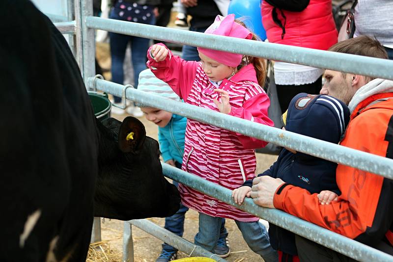 Na brněnském výstavišti začal v neděli veletrh TECHAGRO, jeden ze tří největších zemědělských veletrhů v Evropě.