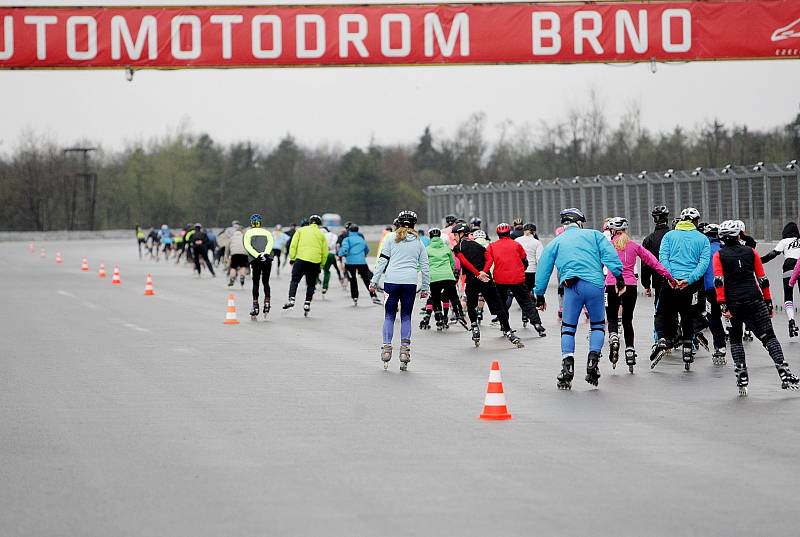 Masaryk Run 2016. Na trasu vyrazili i závodníci na kolečkových bruslích.