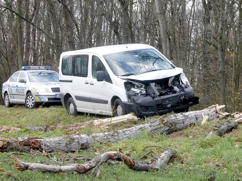 Silný vítr lámal stromy u silnice mezi Valtrovicemi a Křidlůvkami. Na projíždějící dodávku Peugeot jeden ze stromů spadnul. 