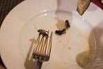 Nevšední gurmánský zážitek pro příznivce hmyzí kuchyně, tedy takzvané entomofágy, připravil kuchař Petr Ocknecht.