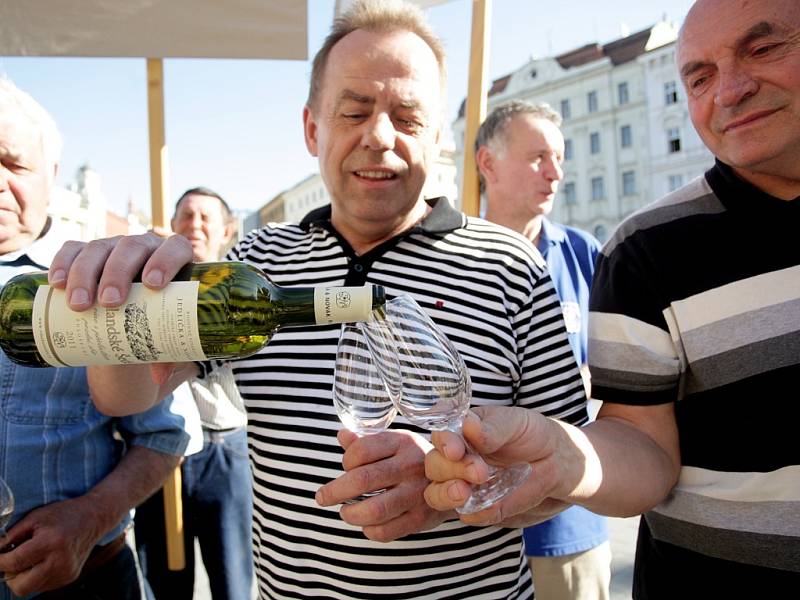 Vinaři z Kraví hory demonstrovali na Moravském náměstí v Brně.