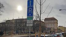 V opravené Gorkého ulici v Brně stojí vedle vysazených stromů dopravní značky nebo nad nimi visí lampy veřejného osvětlení.