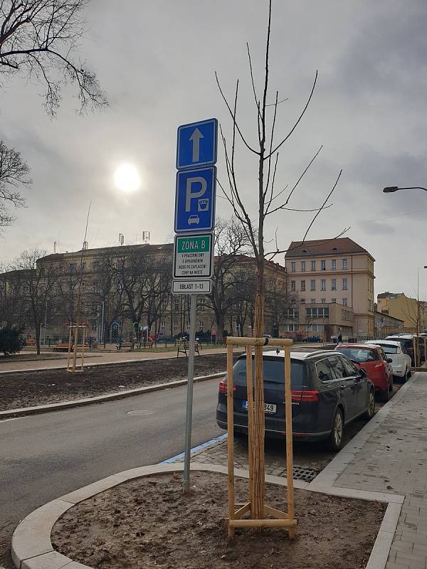 V opravené Gorkého ulici v Brně stojí vedle vysazených stromů dopravní značky nebo nad nimi visí lampy veřejného osvětlení.