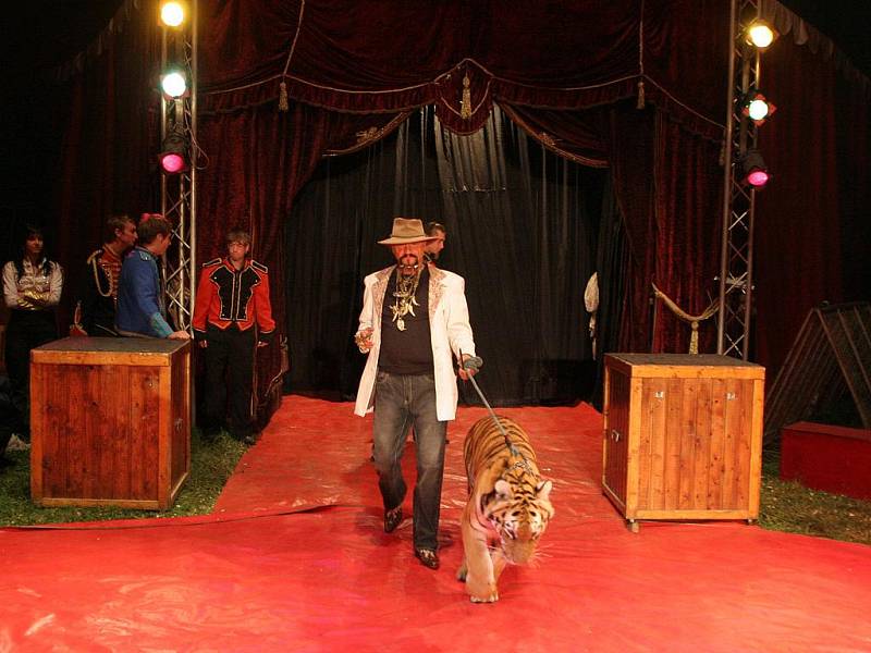 Tři a půl roku starý samec pumy americké jménem Baghira dokázal jedním skokem přeletět deset lidí, kteří klečeli na podlaze manéže cirkusu Jo–Joo.