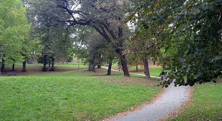 Park Marie Restituty nedaleko Provazníkovy ulice.