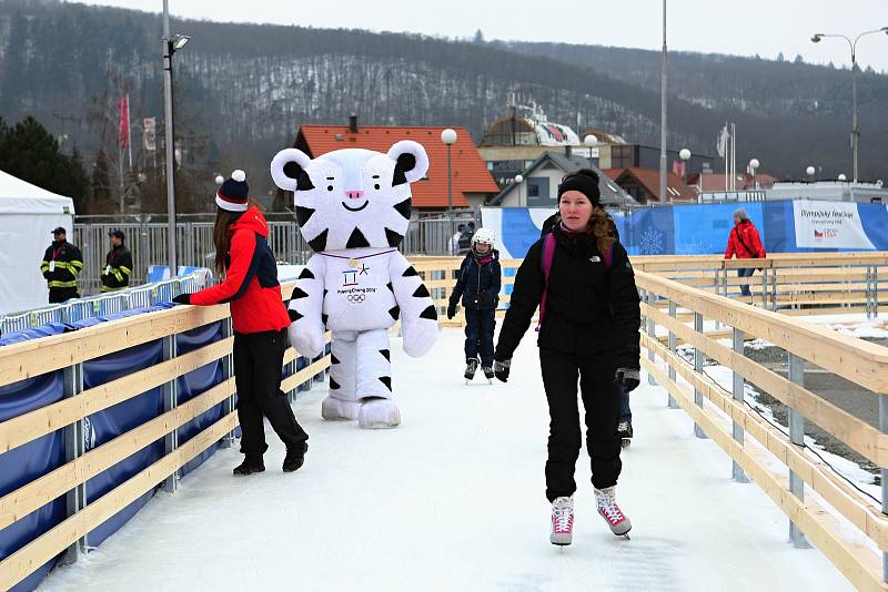 Již druhý den si zájemci na Olympijském festivalu mohou vyzkoušet na vlastní kůži zimní hry na Brněnském výstavišti.