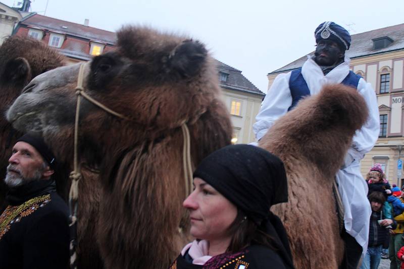 Tříkrálový průvod se třemi velbloudy prošel v úterý odpoledne centrem Brna.