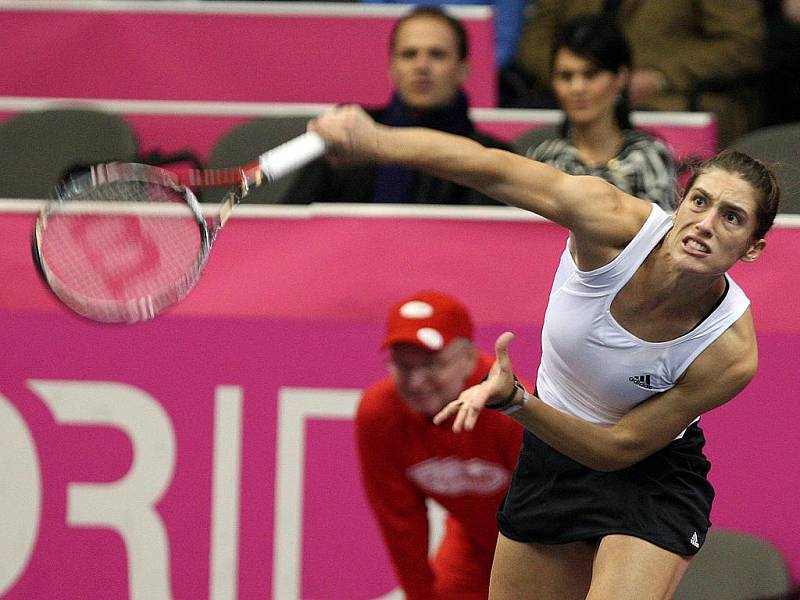 Sobotní Fed Cup v Brně.