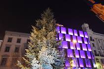 Na brněnském náměstí Svobody už stojí vánoční strom.