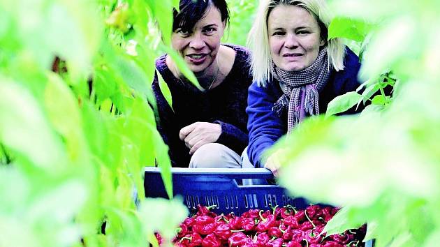 Podnikatelky s chilli papričkami Alena Doležalová a Hana Polanská.