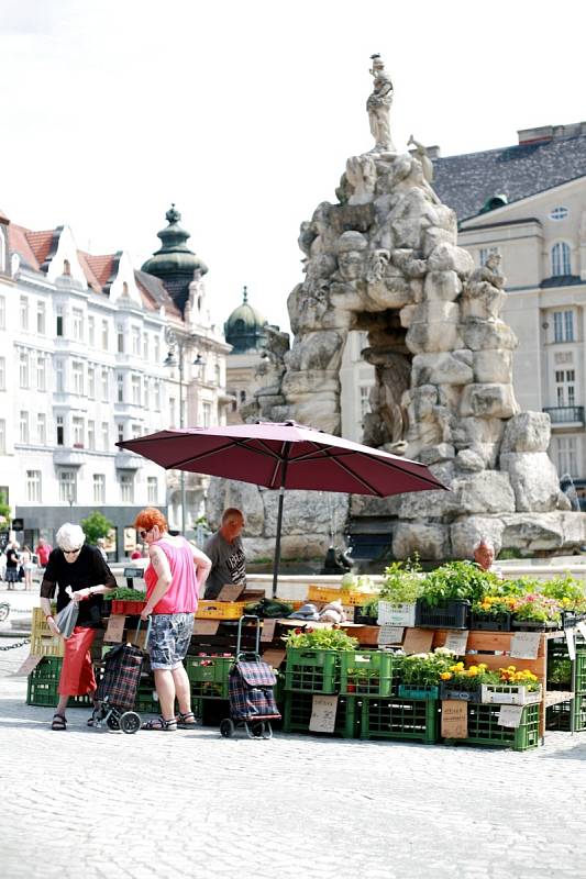 Situace na Zelném trhu není přehledná. Počet prodejců, kteří na náměstí své zboží nabízejí, se i podle zjištění Brněnského deníku Rovnost neustále liší, někdy výrazným způsobem.