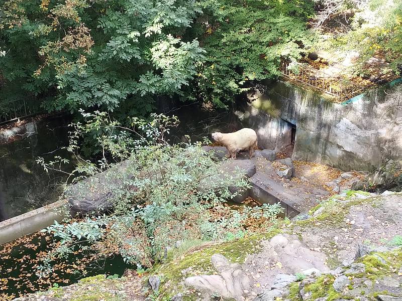 V brněnské zoo lidé oslavili Světový den zvířat.