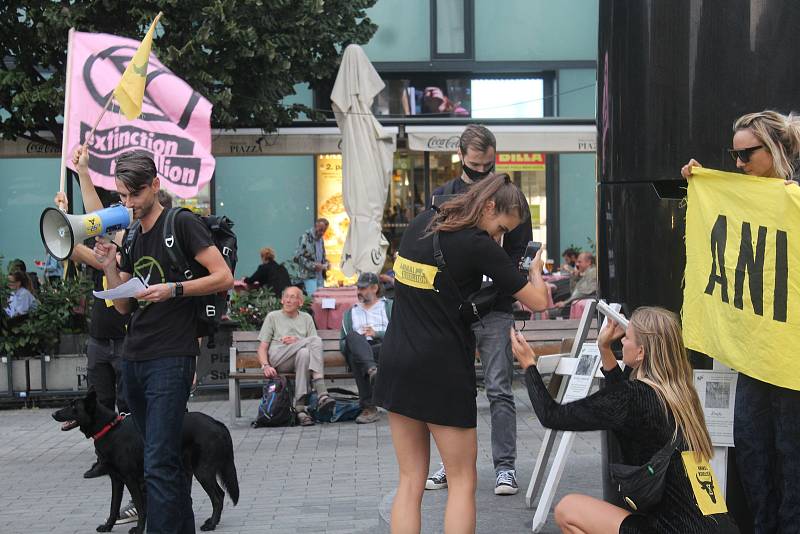 Hnutí Extintion Rebellion a Animal Rebellion a jeho příznivci prošli městem, aby upozornili na vyhynulé druhy a důsledky klimatické změny.