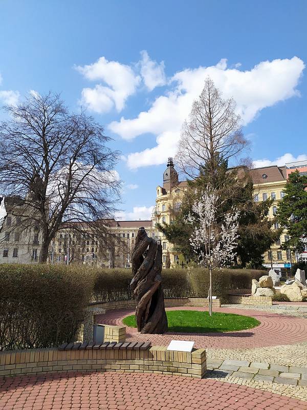 Botanická zahrada je otevřena a rozkvétá