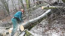 S následky ledové kalamity se potýkala doprava na téměř celé jižní Moravě.