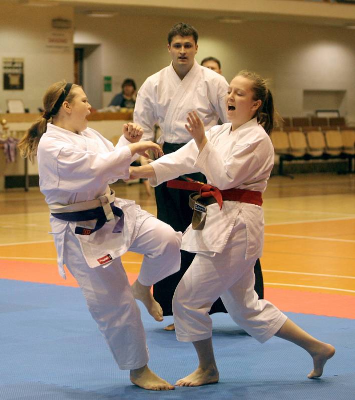 V Brně se konal Hausnerův národní putovní pohár v karate.