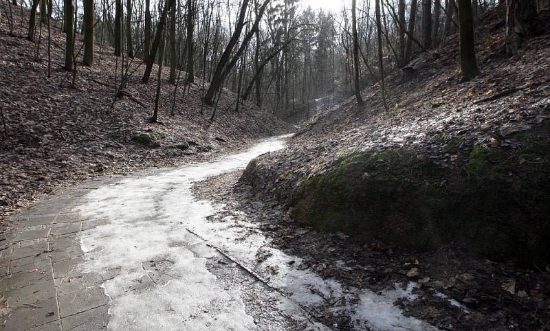 Návštěvníkům parku Čertova rokle slouží několik dětských hřišť i značená stezka upozorňující na rostliny a živočichy, se kterými se mohou lidé v parku setkat. 