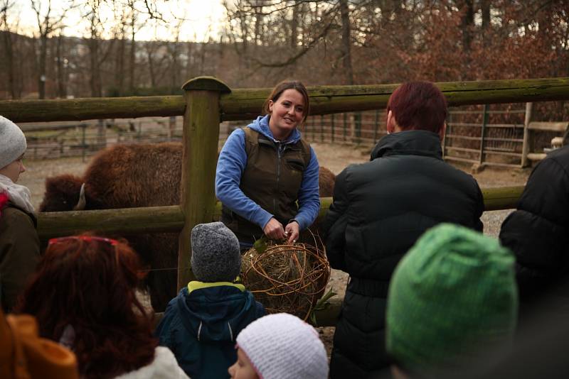 Vánoční komentované krmení zvířat v brněnské zoo.