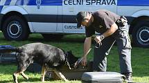 Den s Městskou policií Brno a nejen s ní... v areálu brněnské Riviéry