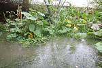 Stačila jedna deštivá noc a zahrada rodiny Janouškovy z brněnských Řečkovic se proměnila v rybník. Rodina tvrdí, že je na vině nejen deštivé počasí, ale především ucpané koryto blízkého potoka Ponávka. 