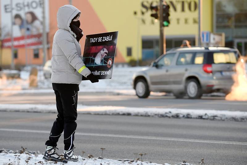 Protest aktivistů skupiny Brno Chicken Save v Modřicích proti zabíjení zvířat.