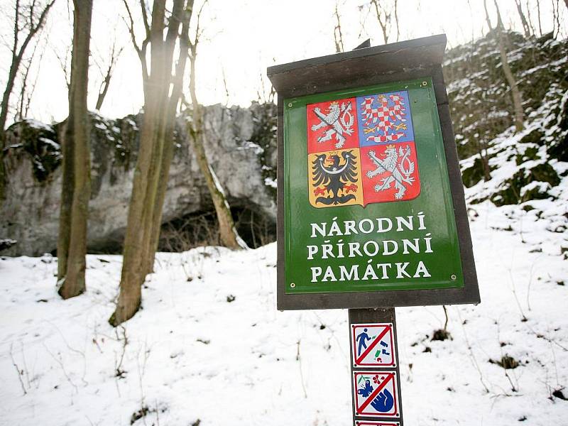 Jeskyně Pekárna leží v jižní části Moravského krasu nad soutokem Říčky a Ochozského potoka.