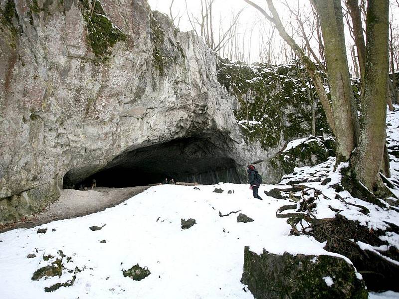 Jeskyně Pekárna leží v jižní části Moravského krasu nad soutokem Říčky a Ochozského potoka.