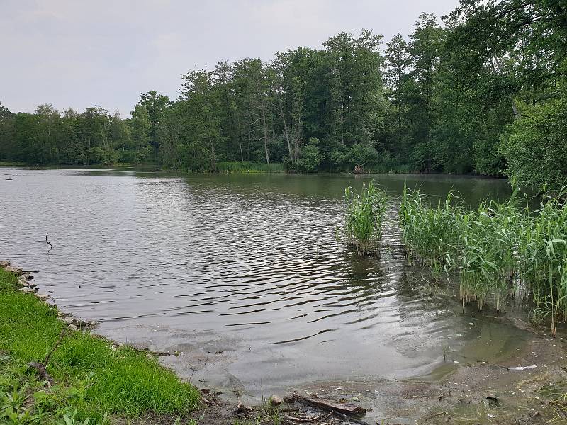 V krajině přibývá tůní a mokřadů. Pomáhají v boji s kůrovcem.