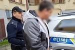 Opilý řidič, který v Brně srazil dva lidi, je ve vazbě.