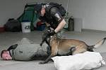 Jak si vede policejní pes v akci ví děti z Hodonína.