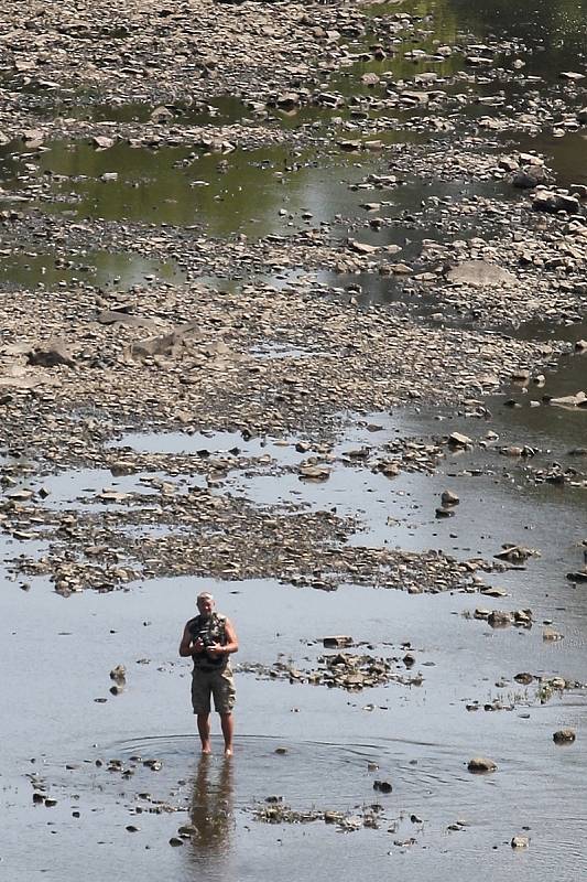 Vedra a sucha, která sužují Brněnsko od začátku června, si vybírají daň. Hladiny řek klesly o desítky centimetrů, některé menší potoky vyschly úplně.