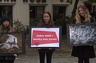Brněnští aktivisté za práva zvířat upozorňují v sobotu na kruté zacházení s husami.