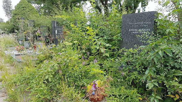 Neudržované hroby na Ústředním hřbitově v Brně.
