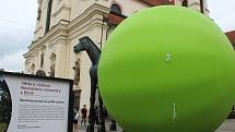 Obří zelený hrášek na Moravském náměstí. Kutálet se bude celým Brnem.