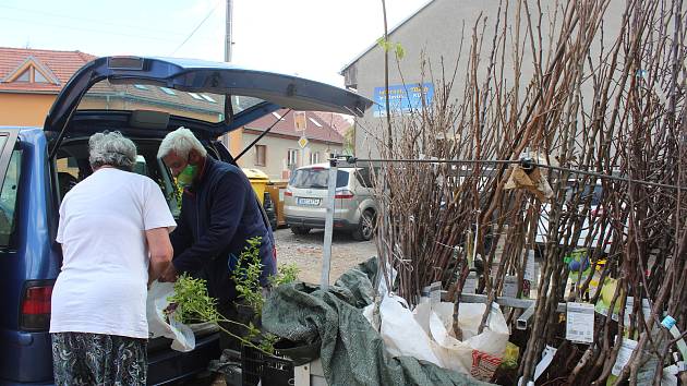 Na Blanensku se nejvíc prodávají jabloně a hrušně. podle prodejců je to dané drsnějším podnebím v oblasti. Meruňky a broskve se pak lépe prodávají v jižních okresech Jihomoravského kraje.