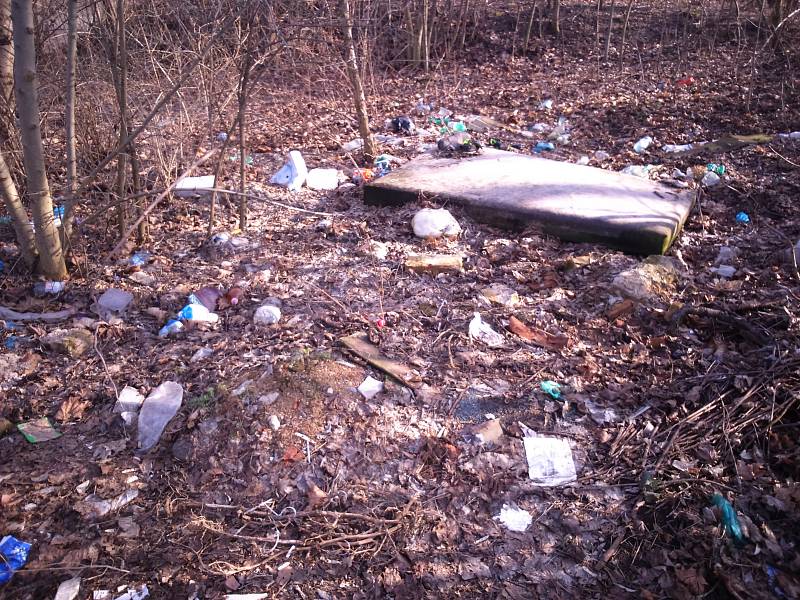 Na Červeném kopci před zahrádkářskou kolonií je odpadu tolik, že tvoří skládku.