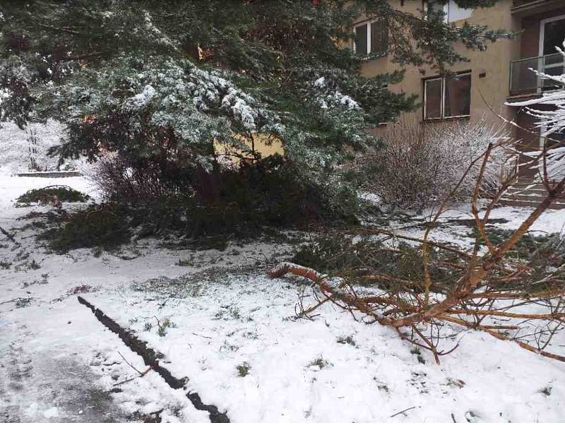 Hasiči měli v sobotu plné ruce práce s odstraňováním popadaných stromů nebo větví z komunikací a chodníků. Na snímku zásah v Boskovicích na Blanensku. FOTO: HZS Jihomoravského kraje