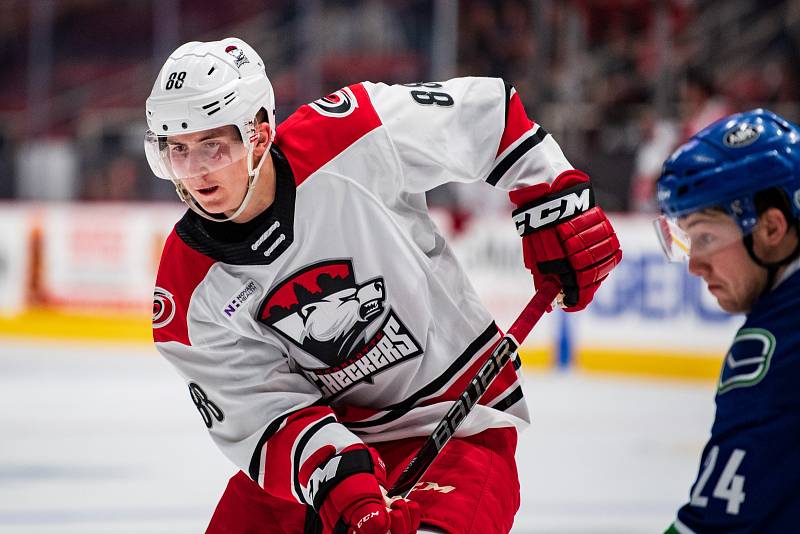 Hokejista Martin Nečas v dresu týmu AHL Charlotte Checkers.