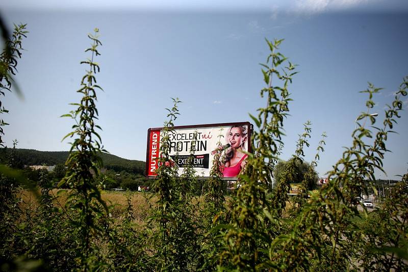 Podle nové veřejné vyhlášky Jihomoravského kraje musí být billboardy umístěné u silnic prvních tříd od 1. září odstraněny.