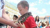 Asi dvacet lidí s flašinety se zúčastnilo devátého Mezinárodního setkání flašinetů v Brně. Flašinety staré i sto let přivezli lidé nejen z Česka, ale i Německa, Francie či Itálie.