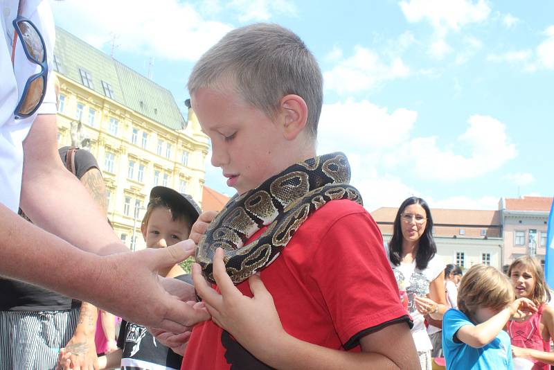 Asi dvacet lidí s flašinety se zúčastnilo devátého Mezinárodního setkání flašinetů v Brně. Flašinety staré i sto let přivezli lidé nejen z Česka, ale i Německa, Francie či Itálie.