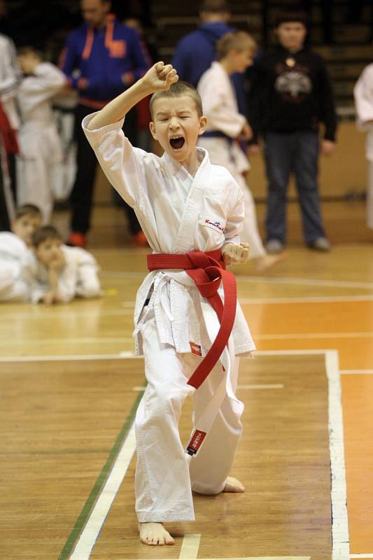 V Brně se konal Hausnerův národní putovní pohár v karate.