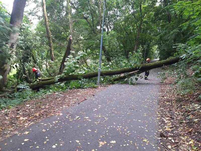 Cyklostezku v brněnských Pisárkách přeťal po bouřce spadlý zlomený strom.