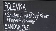 Festival Mendel knows ukázal lidem umělé pěstování rostlin i párovou gymnastiku.