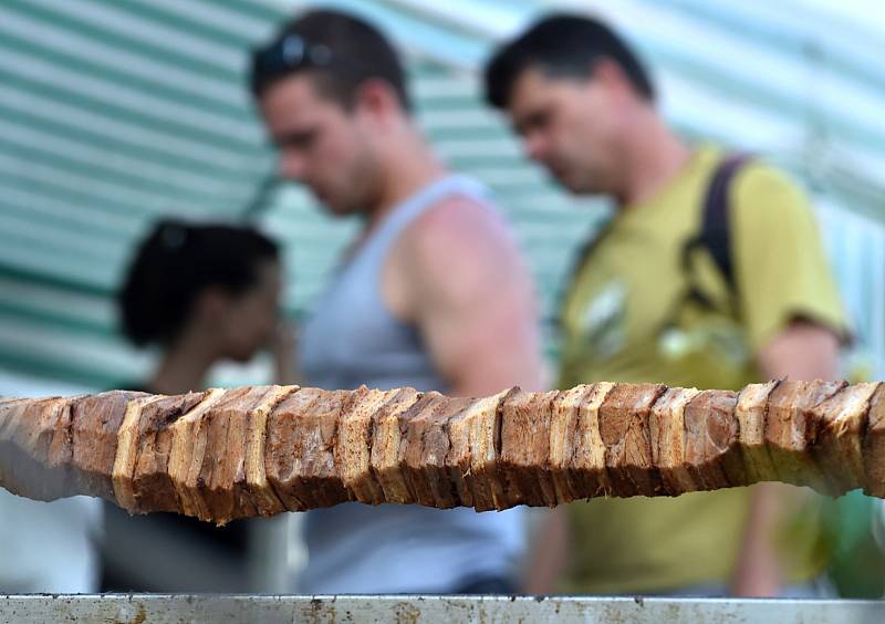 Vrátit se na okamžik do středověku mohli v sobotu přes den návštěvníci rosického zámku. Rytířským měřením sil vyvrcholil den plný žonglování, historického šermu a středověké hudby.