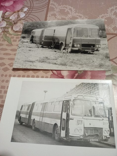 Kloubové autobusy ŠM 16,5 v provozu v Brně