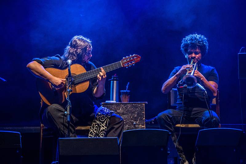 Brasil Fest Brno je jediný festival svého druhu v celé republice. Příznivcům hudby, dobrého jídla a tance umožní prožít tradiční brazilskou kulturu na vlastní kůži přímo v centru Brna.