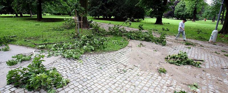 Následky bouřky v brněnských Lužánkách.