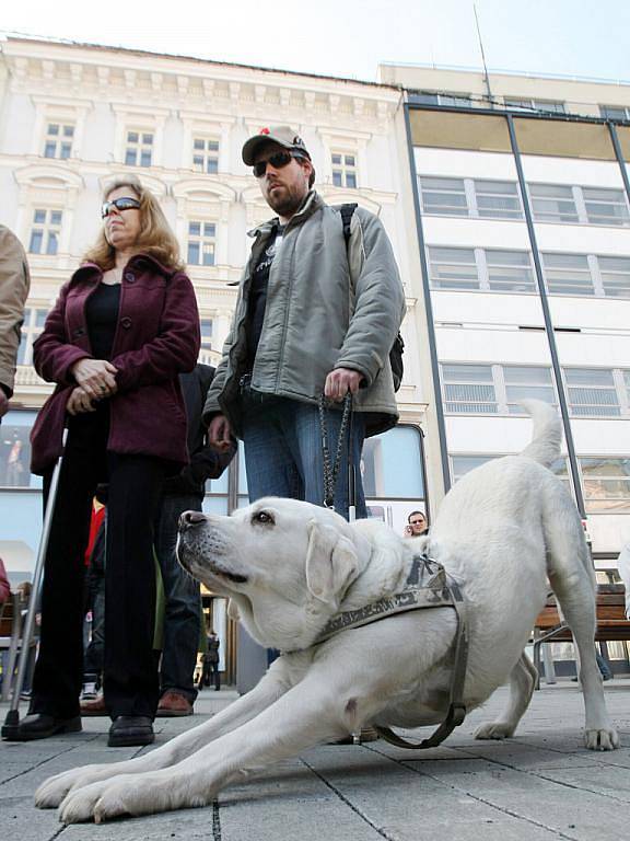 Postižení lidé protestovali v Brně proti vládním reformám.